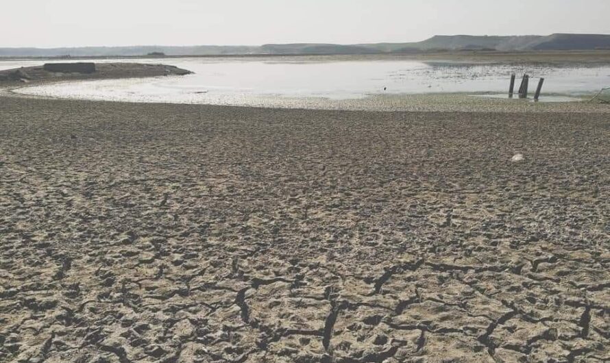 Turkey cuts off the Euphrates waters from Syria: The low water level in the Euphrates threatens the lives of the citizens of northern Syria and the efforts to combat Covid-19