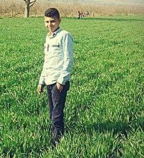 كمال محمد علي عارف