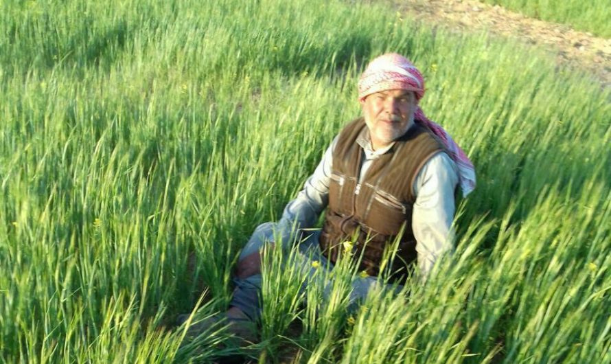 بعد 120 يوما من الاعتقال..”الجيش الوطني” يفرج عن رجل مسن اعتقله بالخطأ