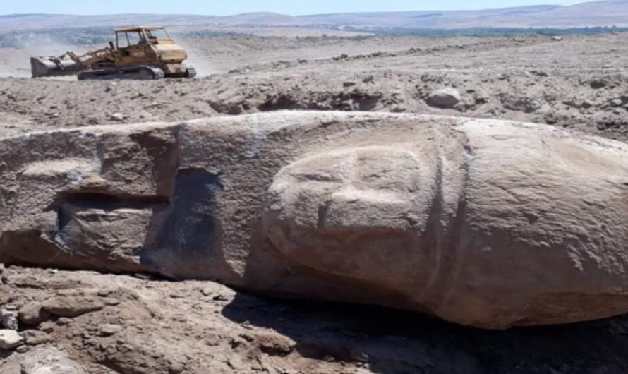 تركيا لم تسرق الأسد الأثري فقط….41 موقع أثري تعرض للخراب، والنهب في عفرين