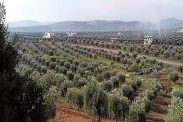 إصابة رجل مسن بجروح بليغة في تجدد القصف التركي لقرى بريف حلب