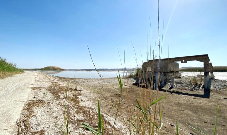 400 ألف هكتار من الأراضي الزراعية على خط “الجفاف” نتيجة خفض تركيا لتدفق مياه “نهر الفرات”