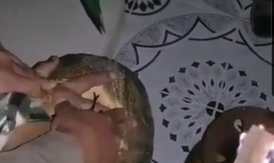 فيديو….تعذيب وحشي بالفأس والنار والحديد طلبا للفدية