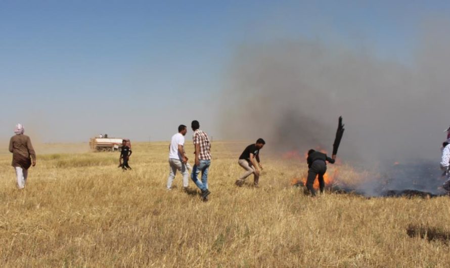 لا زراعة حيث يصل رصاص الجنود الأتراك