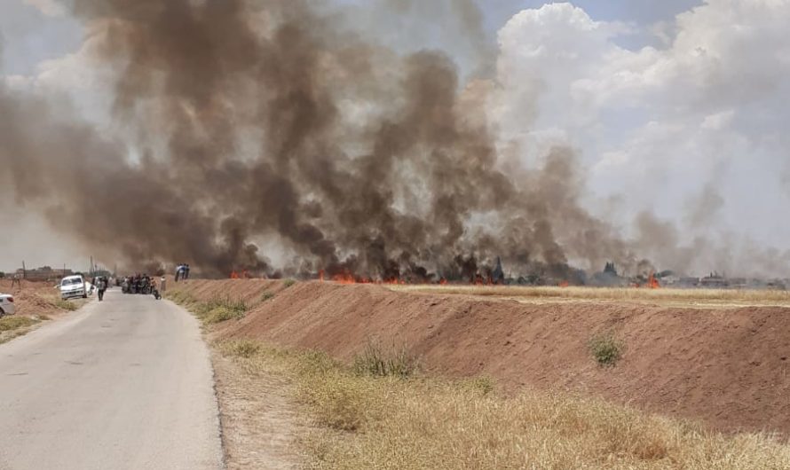 إصابة جنود روس بانفجار لغم أرضي في مدينة كوباني