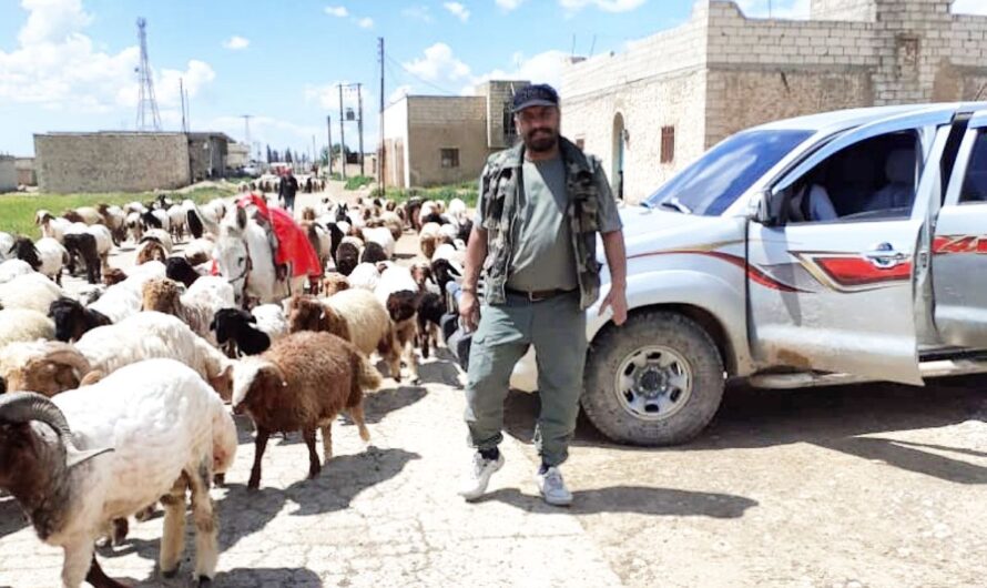 ارتفاع عدد المخطوفين إلى 61 شخصا بينهم نساء في عفرين منذ بداية آب 2020