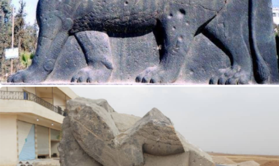 بعد 37 عاما “أسود شيران” تعود “عرينها” مهشمة