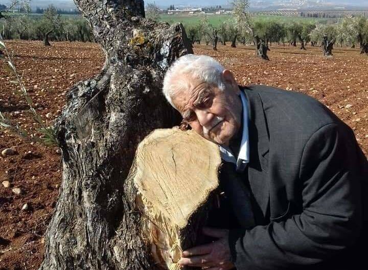 عفرين تحت وطأة الاحتلال: نهب الزيتون وأتاوات قسرية تزيد معاناة الأهالي