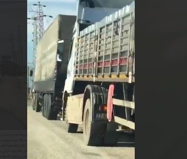 فيديو : شاحنات تركية تسرق الزيتون السوري من عفرين
