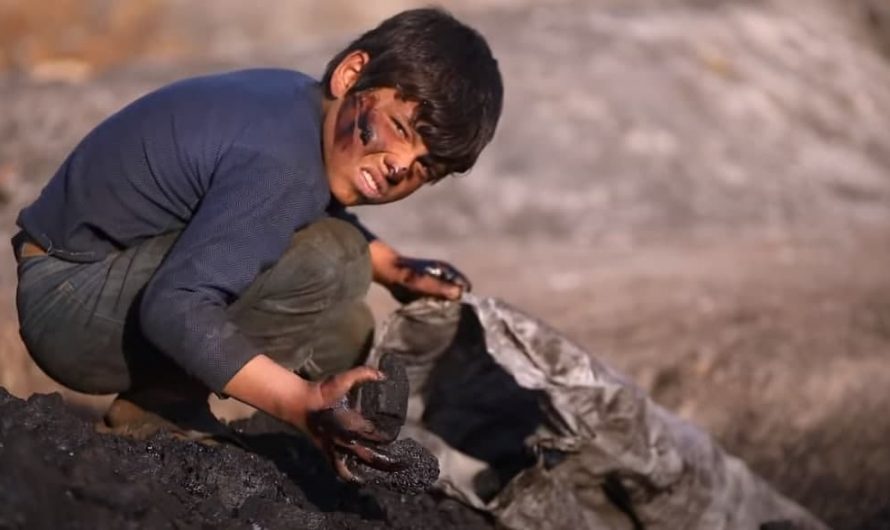 برنامج يكشف حجم معاناة الأطفال في المناطق الخاضعة لسيطرة تركيا شمال سوريا .. واستغلالهم للعمل في اعمال مميتة “حراقات النفط”