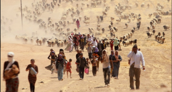 بلجيكا تصنف جرائم داعش بحق الإيزيديين  “إبادة جماعية”