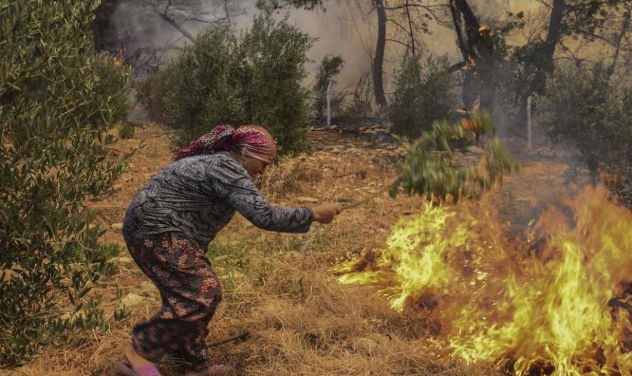 في سبيل عقيدة الربح.. العنف العاري في تركيا يهلك المجتمع ومحيطه الحيوي