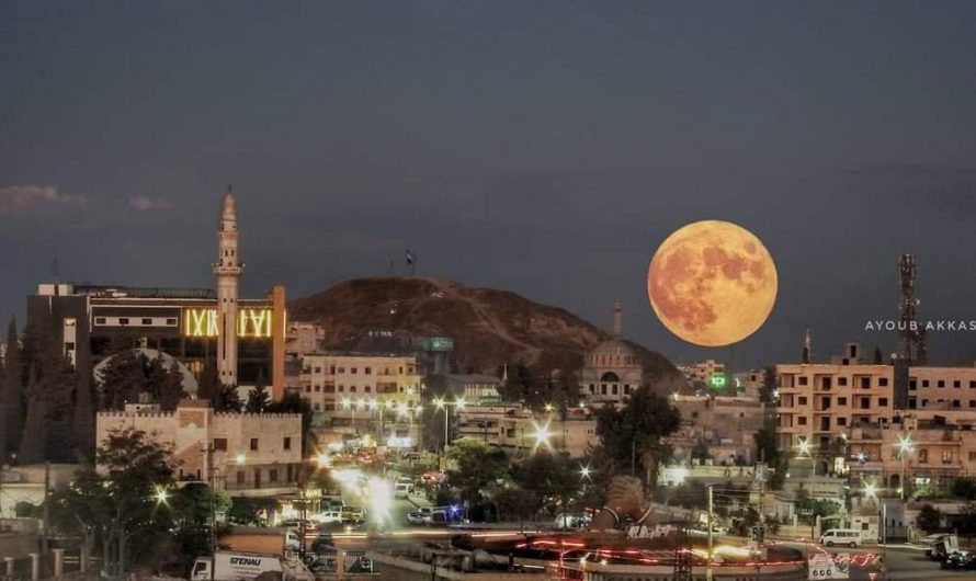 منذ بداية 2022: 1060 شاحنة مساعدات غذائية تدخل المناطق السورية الخاضعة لسيطرة تركيا