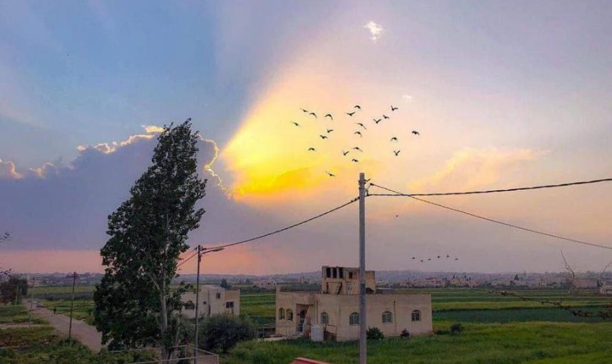 اعتقال 9 أشخاص في عفرين