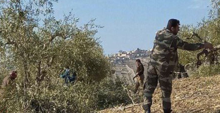 قرية “ترموشا”- دمار وتهجير: “نـوروز” في أجواء غير آمنة… اختطاف واعتقالات تعسفية.. قطع أشجار وغابات.. توسيع قرية استيطانية