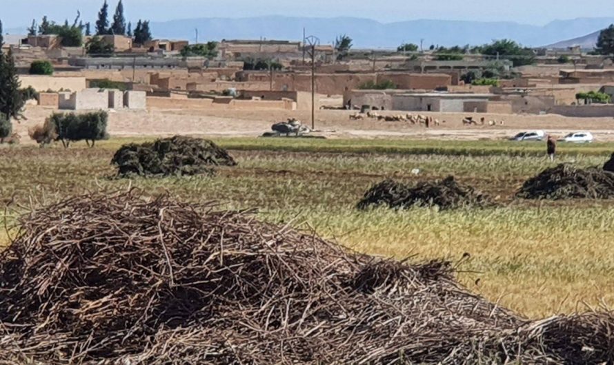 قوات تركية تدخل الأراضي السورية لفض الاشتباكات بين مسلحين موالين لها في بلدة رأس العين