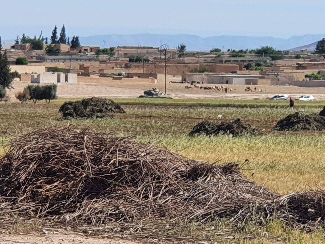 صورة تظهر دبابات تركية تتدخل لفض الاشتباكات بين المسلحين الموالين لها في بلدة رأس العين