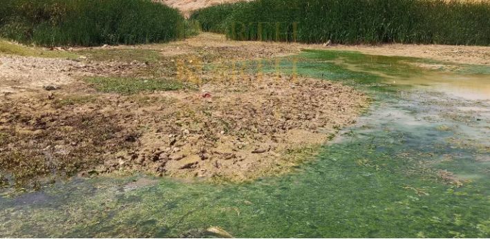 جفاف نهر عفرين… كارثة بيئية وإنسانية بفعل السياسات التركية