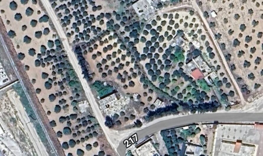 اللجنة الاقتصادية في عفرين تفرض إتاوات جديدة وقيادي في “الجيش الوطني” ينهب محصول زيتون لمواطن كردي