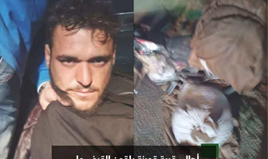 سرقة الزيتون في ريف عفرين: استمرار الانتهاكات ضد السكان الكرد بدعم الفصائل المسلحة